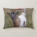 Search for goat pillows Animal