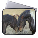 Search for quarter horses electronics Equine