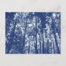 Search for effect postcards Nature