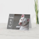 Search for this way up postcards Promotion