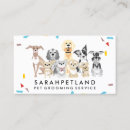 Recherche de colley cartes visite Vétérinaire