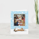 Search for sheltie christmas cards Pets