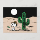 Recherche de clair de lune cartes postales Désert