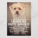 Search for cat dog birthday invitations Puppy