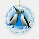 Search for galapagos islands ornaments South america