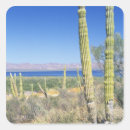 Search for california desert stickers Landscape