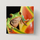 Search for tree frog buttons Green