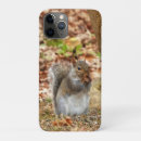 Recherche de écureuils iphone coques Écureuil mignon