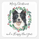 Search for border collie lover stickers Animal