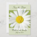 Search for single flower invitations Daisy