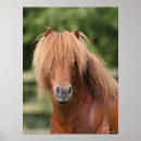 Search for chestnut pony art Bob langrish