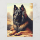 Recherche de belgie cartes postales Dog