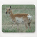 Search for doe mousepads Outdoors