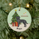 Search for black lab ornaments Green