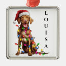 Search for vizsla ornaments Cute