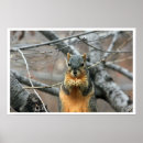 Search for squirrel lovers posters Rodent