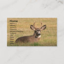 Search for activist business cards Environmentalist