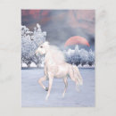 Search for wintry postcards Horse