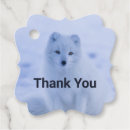 Search for cute arctic fox crafts party Wildlife