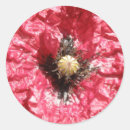 Recherche de papaver autocollants Floral