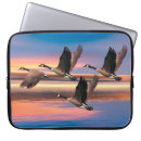 Search for geese electronics Birds