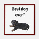 Search for cocker spaniel magnets Black