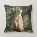 Search for meerkat pillows Mongoose