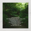 Search for rain forest invitations Landscape