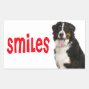 Search for mountain dog stickers Berner