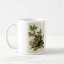 Search for robin bird mugs Illustration