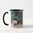 Search for rocky mountain elk mugs Danita delimont