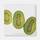 Search for kiwi magnets Food