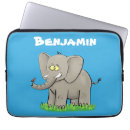 Search for botswana electronics Animal