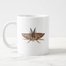 Search for moth mugs Butterflies
