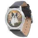 Search for border collie watches Puppy