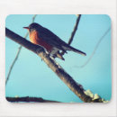 Search for robin mousepads Winter