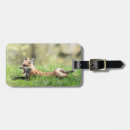 Search for carnivorous accessories Animal