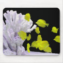 Recherche de aquarium tapis souris Jaune