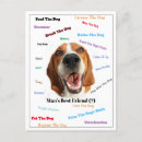 Search for beagle funny postcards Pet