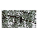 Recherche de neige couverte posters Photographie