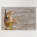 Search for duck puzzles Lake
