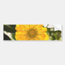 Search for florals bumper stickers Daisy