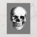 Search for human skulls postcards Bones
