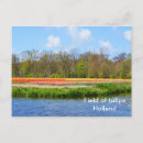 Recherche de holland cartes postales Fleurs