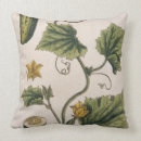 Search for cucumber pillows Fruit