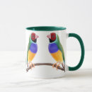 Search for finch mugs Wildlife