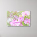 Search for macro canvas prints Blossom