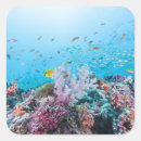 Search for scuba diving stickers Beach