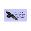 Search for black crows return address labels Wildlife