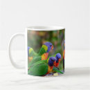 Search for rainbow lorikeets mugs Birds